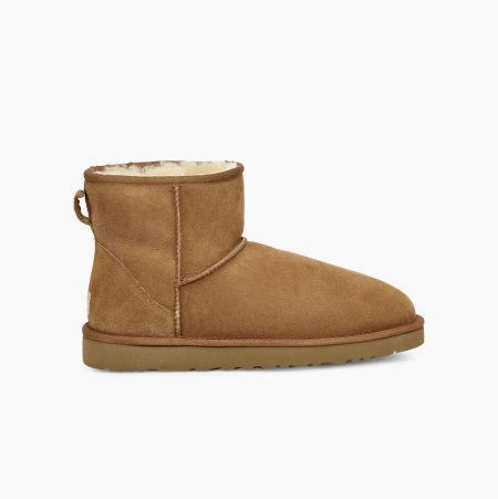 Pánské Classic Boots UGG Classic Mini Hnědé | OCKD4VFD