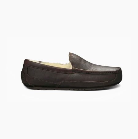 Pánské Loafers UGG Ascot Hnědé | RS3G82HW