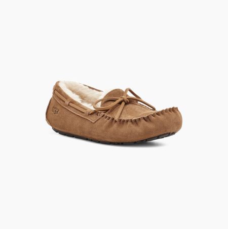 Pánské Loafers UGG Olsen Hnědé | 1Z7AV2QG