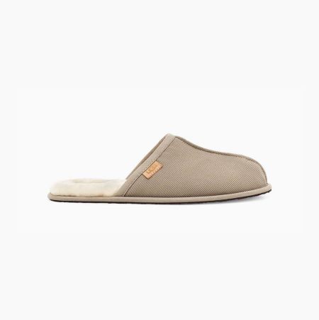 Pánské Pantofle UGG Scuff Corduroy Béžový | 9U0A174W