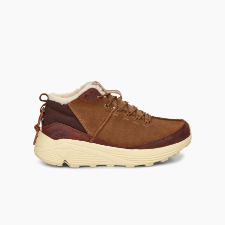 Pánské Tenisky UGG Miwo Trainer High Hnědé | CWB53WZK