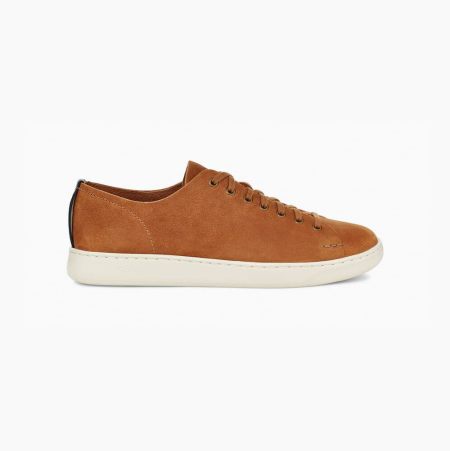 Pánské Tenisky UGG Pismo Low Hnědé | 32UWC84U