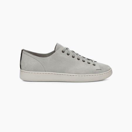 Pánské Tenisky UGG Pismo Low Světle Blankyt | 5MF5NAYK