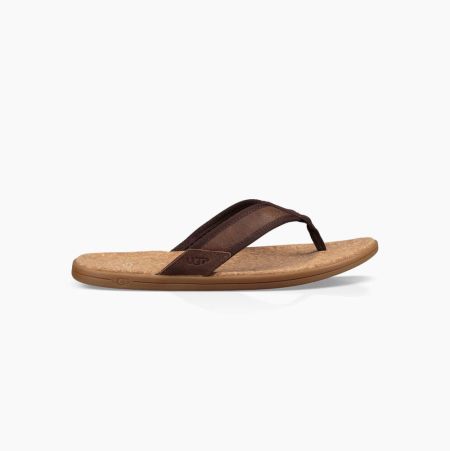 Pánské Žabky UGG Seaside Flip Hnědé | U9WCXX3Q